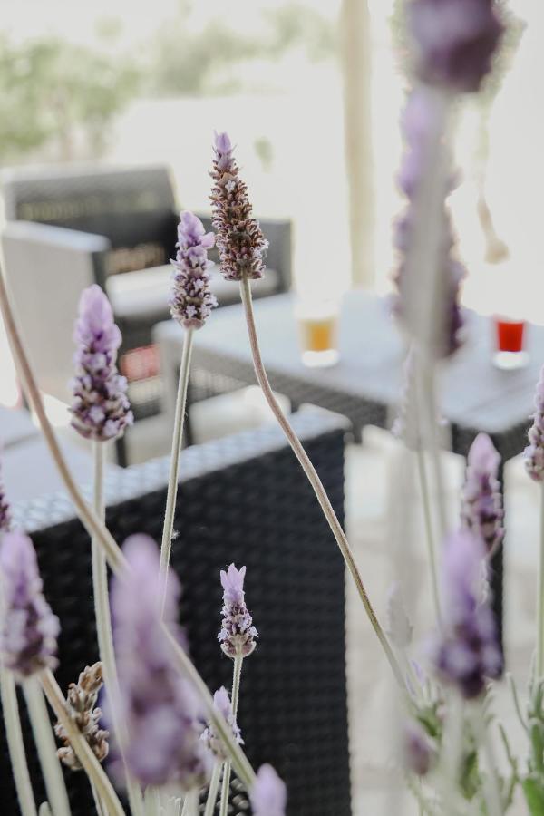 The Olive House Apartment Nea Peramos  Ngoại thất bức ảnh